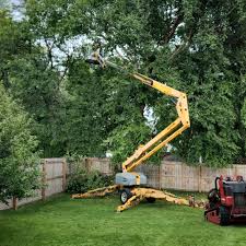 Best Arborist Consultation Services  in Newport, WA